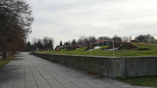 130 tysięcy na 96 nowych drzew wokół cmentarza