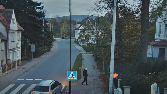 Agresywne psy zaatakowały chłopca w Bogatyni [WIDEO]