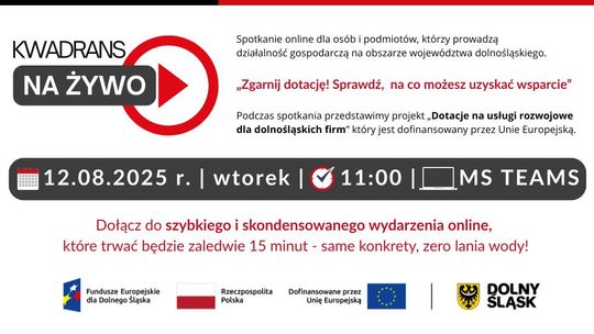 Bezpłatne spotkanie online dla przedsiębiorców z regionu