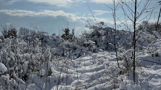 Białe święta 2025? Szanse rosną
