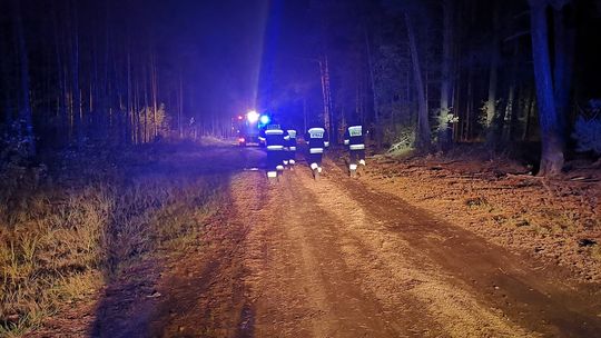 Bielawa Dolna. Służby poszukiwały zaginionego grzybiarza