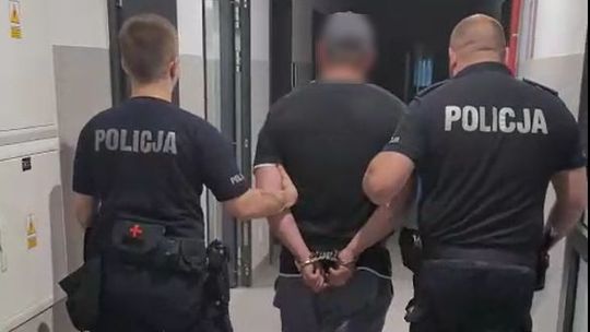 Bogatynia: Kierowca z ośmioma zakazami i po narkotykach