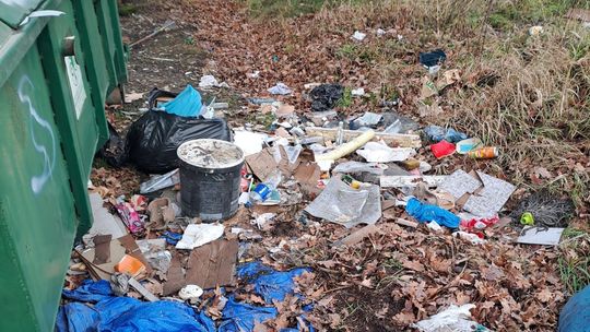 Bogatynia: Nielegalne składowanie odpadów - sprawca ustalony Bogatynia: Nielegalne składowanie odpadów - sprawca ustalony