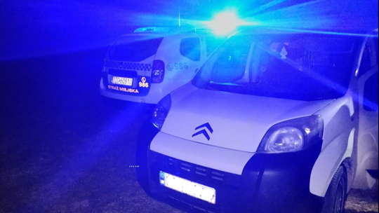 Bogatynia: podejrzenie kradzieży drewna ujawniło skradziony samochód