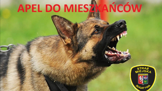 Bogatynia: Straż Miejska reaguje na zgłoszenia dotyczące agresywnych psów