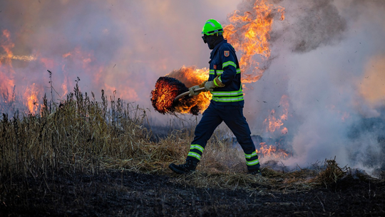 Co roku ten sam błąd - wiosenne wypalanie traw