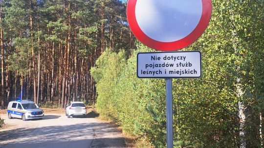 Czy można wjechać terenówką do lasu podczas grzybobrania?