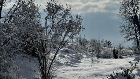 Czy w tym roku doczekamy się białych świąt? Czy w tym roku doczekamy się białych świąt?