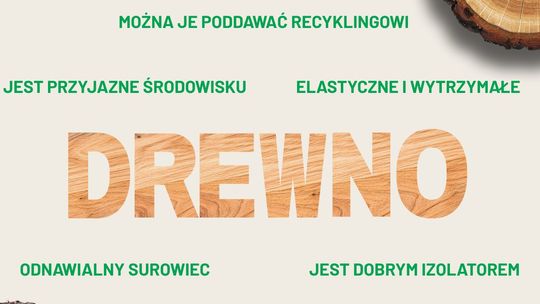 Drewno - surowiec, który od tysięcy lat służy człowiekowi