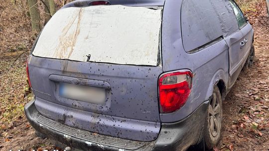 Drezdenko: leśna kradzież - nielegalny wyręb Drezdenko: leśna kradzież - nielegalny wyręb