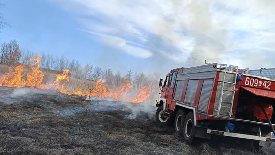 Dwa pożary traw w Sulikowie