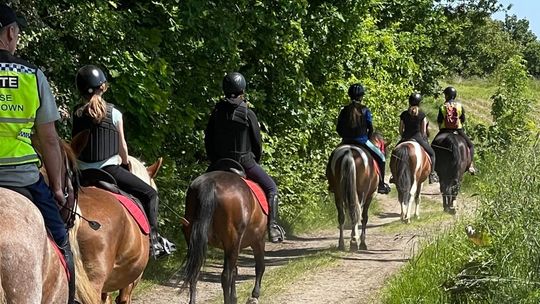 Gabi Horse Team – szkółka jeździecka dla każdego