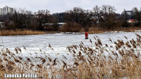 Gorzów Wielkopolski: intensywne poszukiwania zaginionej 26-latki