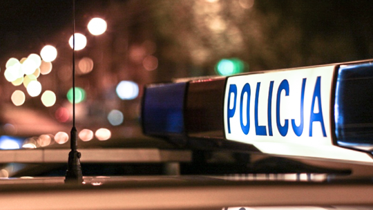 Iłowa: porzucił psa - usłyszał zarzuty