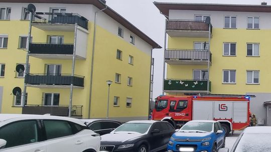 Interwencja przy ul. Szkolnej w Cybince