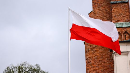 Jak głosował Powiat Zgorzelecki? Znamy szczegółowe dane z miast i gmin
