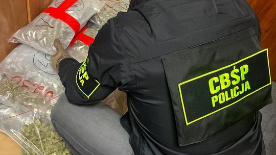 Jędrzychowice: 36 kg narkotyków  w ciężarówce [WIDEO]