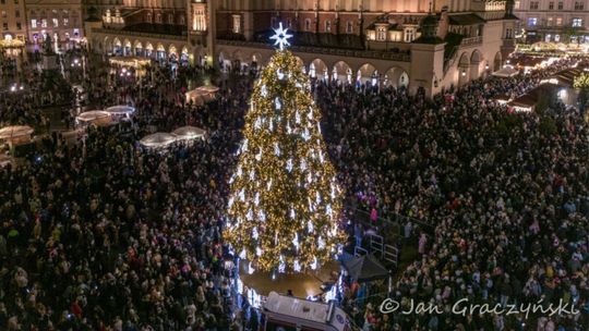 Krakowska choinka najpiękniejsza na świecie. Pokonała nawet Nowy Jork