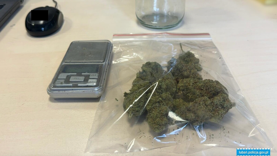 Lubań: 19-latek z narkotykami - sprawa jest rozwojowa