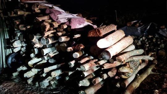 Lubań: kradli drewno przy linii kolejowej Lubań: kradli drewno przy linii kolejowej