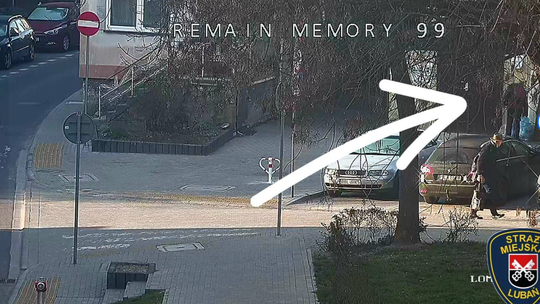 Lubań: przyłapany dzięki operatorowi monitoringu