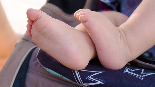 Lubań: W śmietniku znaleziono niemowlę? Prokuratura prowadzi czynności