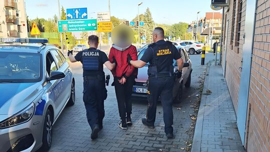 Lubań: Wspólne działania służb