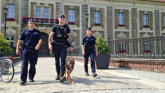 Młodzi policjanci w akcji