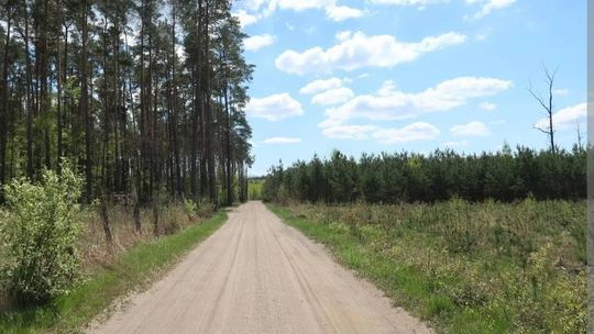 Modernizacja drogi do gruntów rolnych