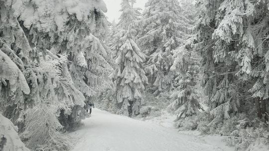 Nadchodzą silne mrozy