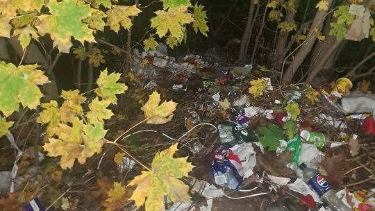 Nieporządek na ul. Zamoyskiego - szybka interwencja Straży Miejskiej w Bogatyni
