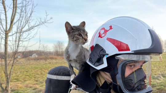 OSP w Olszynie: akcja ratunkowa kotka, który wpadł do studni