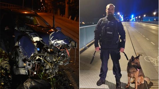 Pies policyjny Sadir doprowadził policjantów do pijanego kierowcy