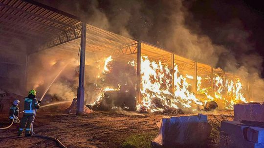 Podejrzany o podpalenie hali ze słomą zatrzymany [WIDEO]