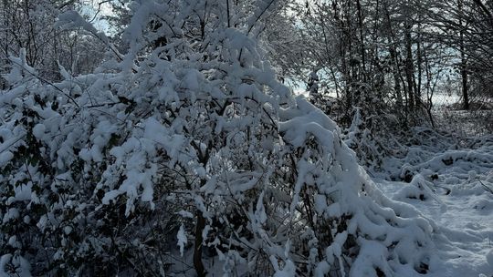 Pogoda podczas ferii zimowych Pogoda podczas ferii zimowych