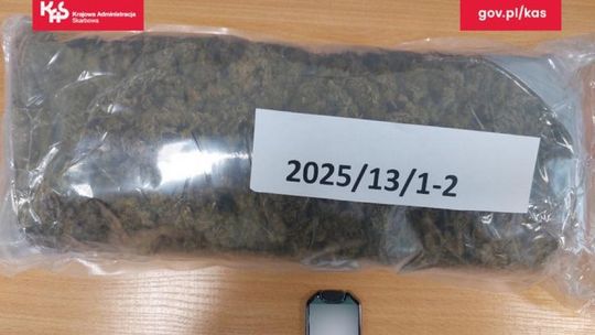 Ponad kilogram marihuany zabezpieczony w przesyłce w Zielonej Górze