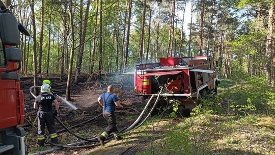 Pożar lasu w Czerwonej Wodzie