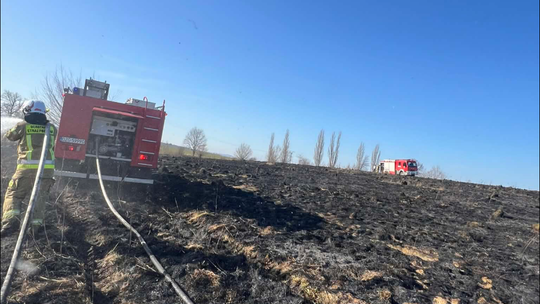 Pożar nieużytków rolnych w Małej Wsi Górnej