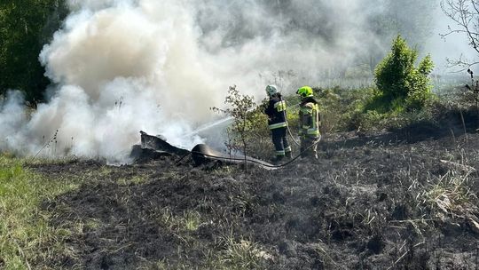 Pożar nieużytków w Działoszynie