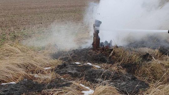 Pożar pobocza na drodze między Mikułową a Radzimowem