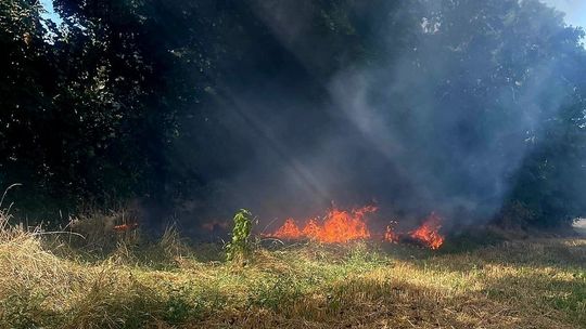 Pożar przy autostradzie A4 powstrzymany