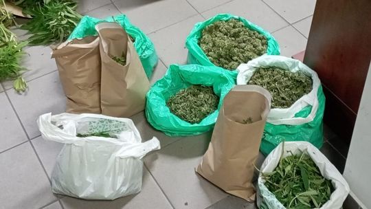 Rozbito międzynarodowe grupy przestępcze [WIDEO]