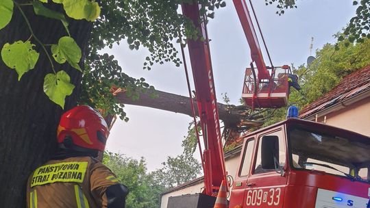 Silny wiatr powalił drzewo na budynek mieszkalny w Lasowie