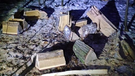 Ujęto sprawców kradzieży drzewa w Opolnie Zdroju