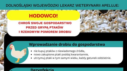 Uwaga hodowcy drobiu - komunikat Powiatowego Lekarza Weterynarii w Zgorzelcu