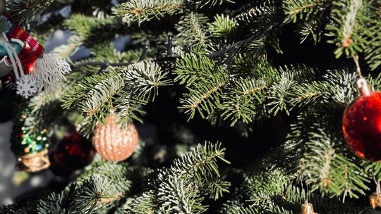 Uwaga na świąteczne okazje! Mieszkaniec Zielonej Góry stracił 1400 zł