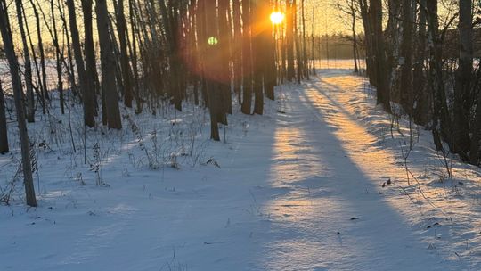 W następnym tygodniu powrót mrozów na zachodzie kraju