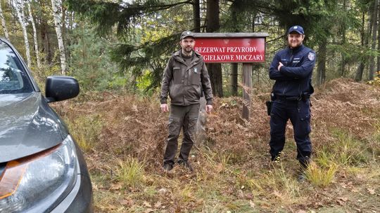 Żagańscy policjanci i Straż Leśna ruszyli z akcją „Stroisz 2025