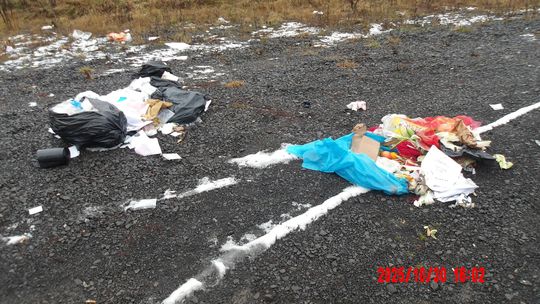 Żary: Straż Miejska ustaliła sprawcę zaśmiecania  i zobowiązała do uprzątnięcia odpadów