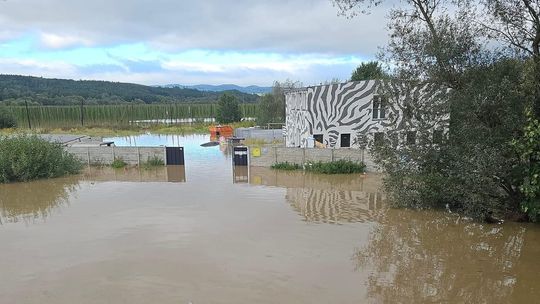 Zbiórka na Schronisko dla Zwierząt w Kłodzku. Mieszkańcy Zgorzelca pomagają